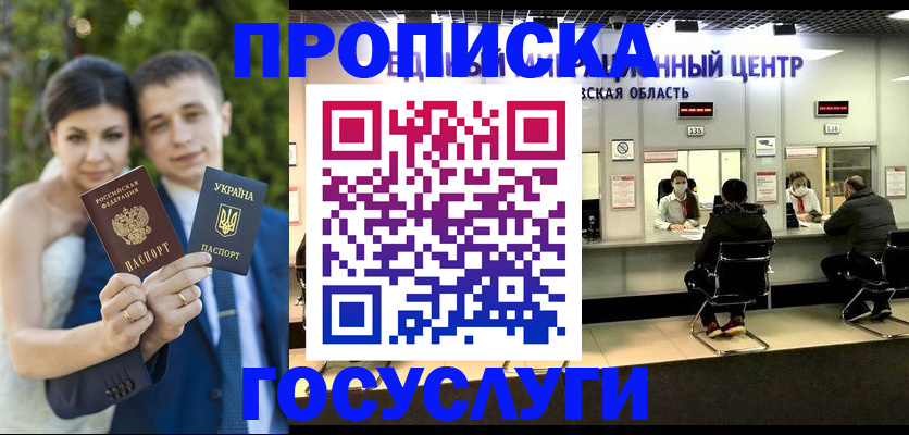 прописка штамп в Курчалом